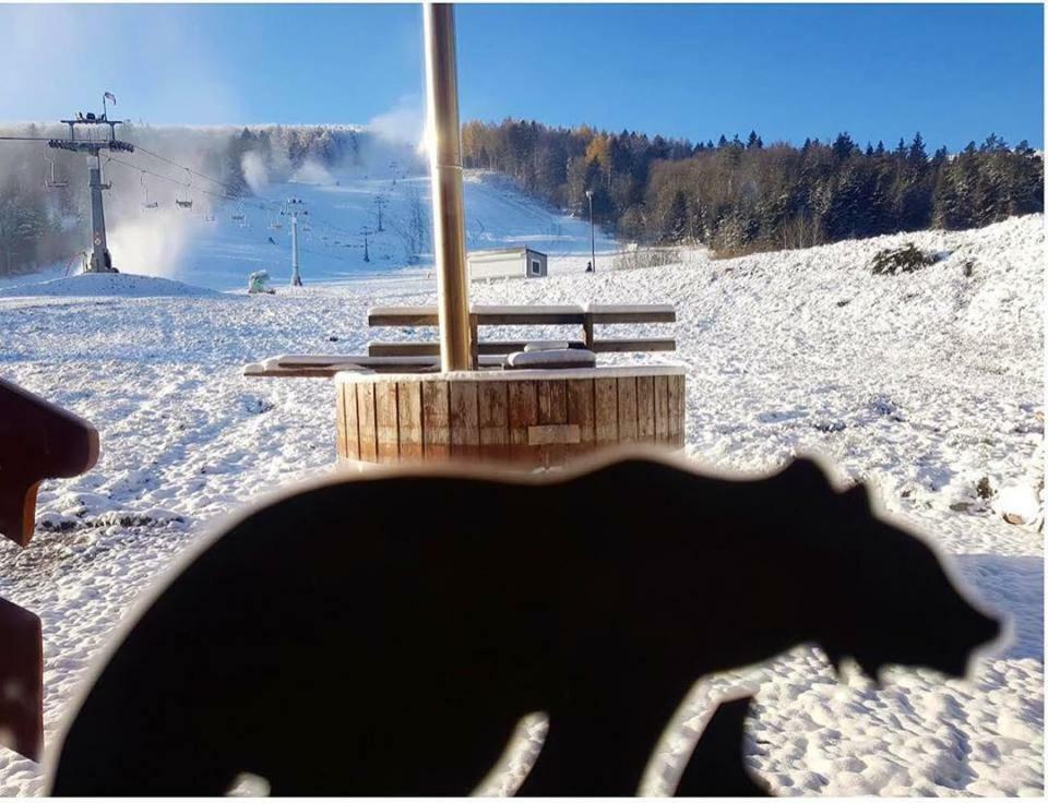 Pensjonat Laworta Ski Ustrzyki Dolne Exteriör bild